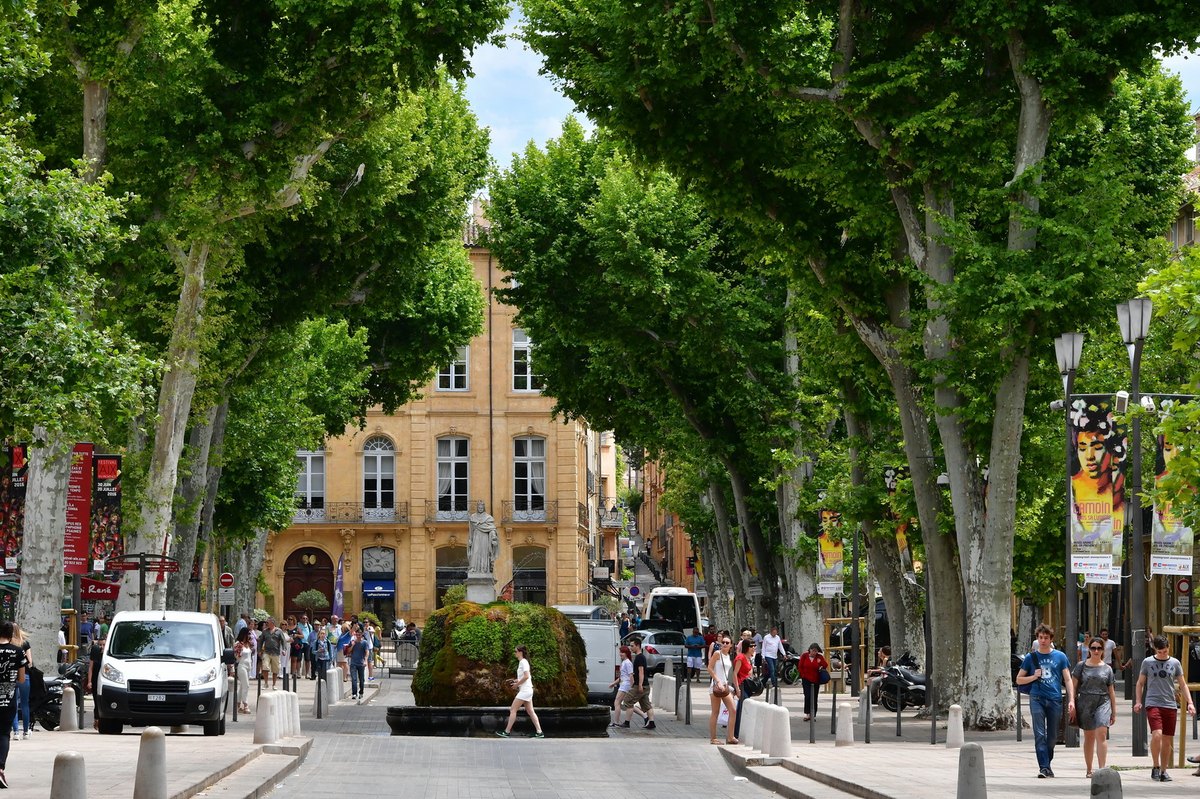 Aix-en-Provence 的 Cours Mirabeau 林蔭大道